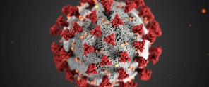 3D depiction of the coronavirus with red spikes on a gray background, highlighting the structure of the virus.
