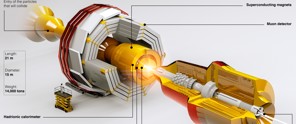 Diagram van een deeltjesversneller met labels voor onderdelen zoals supergeleidermagneten en een muondetector.